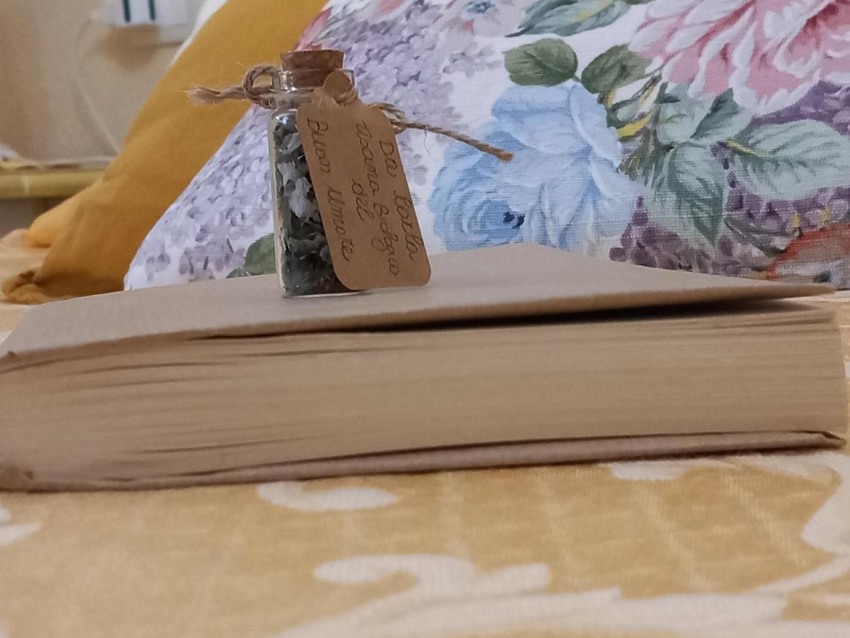 בונאסולה Affittacamere Da Carla מראה חיצוני תמונה
